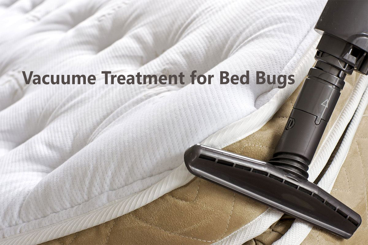 Vacuume Treatment for Bed Bugs - Sadguru Pest Control.png